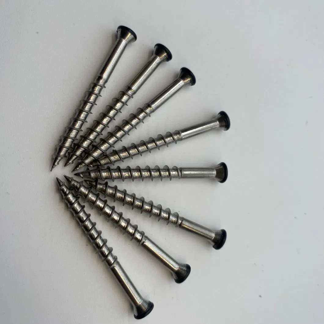 China Factory Square Drive Countersunk Flat Head Long Self Tapping Wood Screws / Chipboard Screw / Decking Screw / Self Tapping Screw Type 17