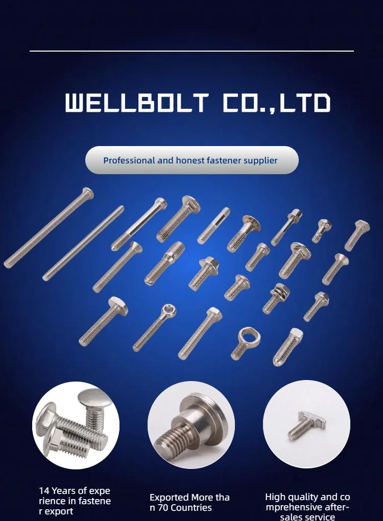 Stainless Steel Hex Bolt/Carriage Bolt/Anchor Bolt/Flange Bolt/T Bolt/Square Head Bolt/Hex Socket Cap Screw/Square Bolt/Wing Bolt/Eye Bolt/Knurled Bolt/U Bolt