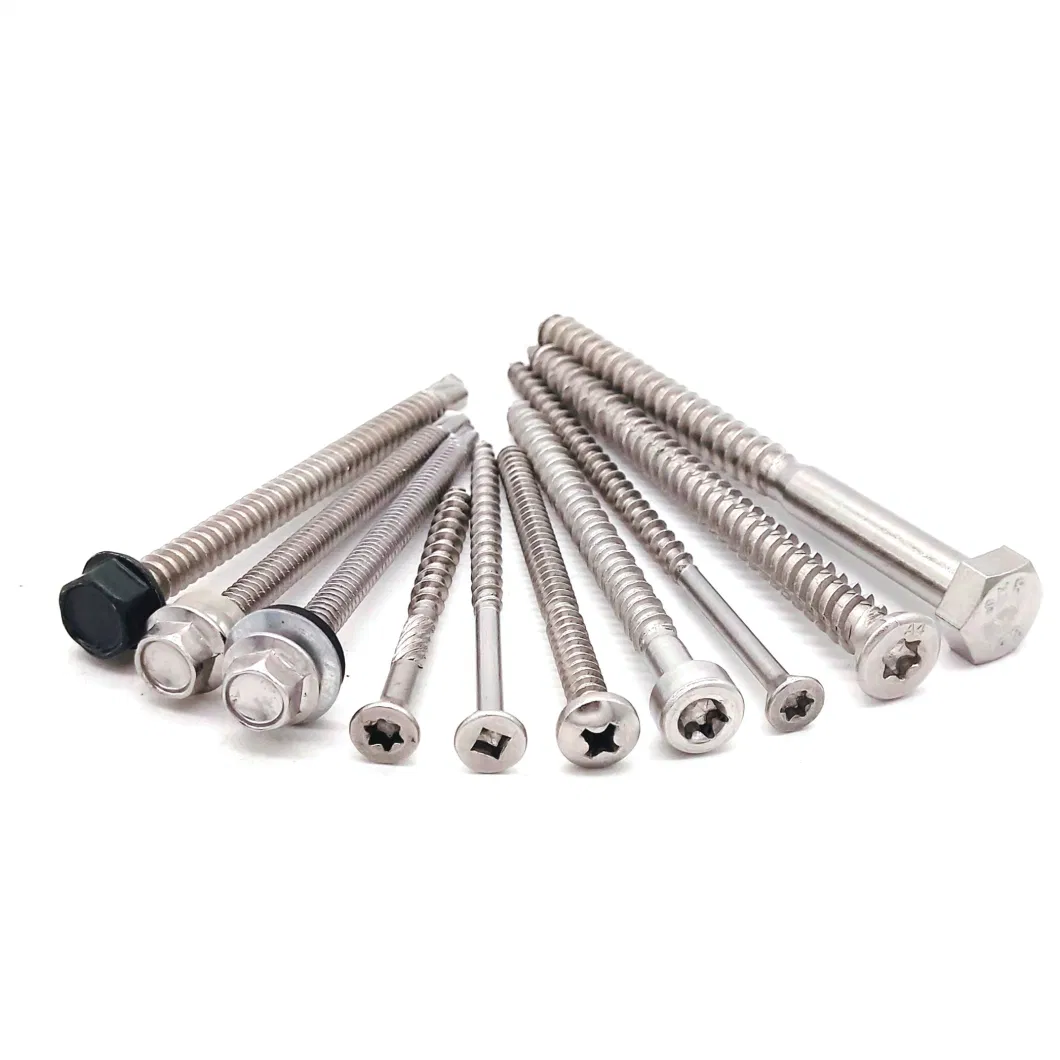 DIN7981 DIN912 ISO7380 Stainless Steel Screw Self Tapping /Self Driling Screw