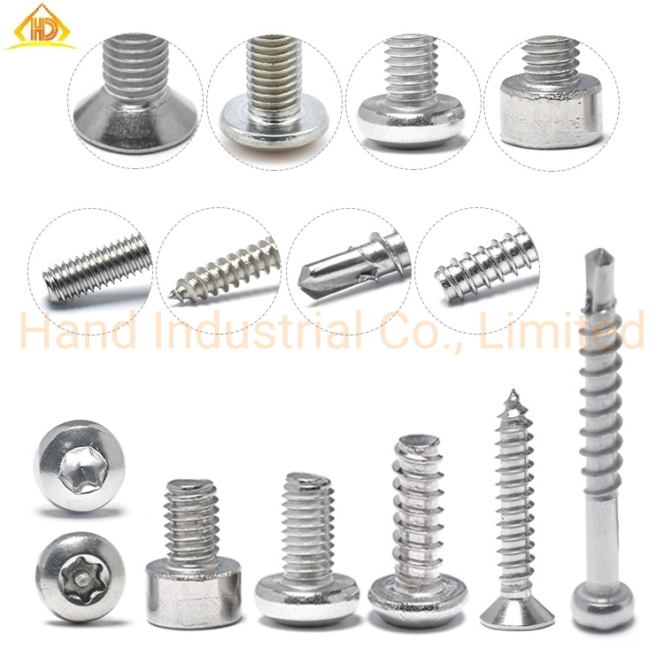 SS304 for Plastic Screw Self Tapping Cutting End Button Head Torx Screw