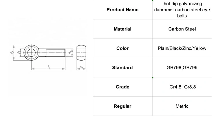 Stainless Steel/Carton Steel/8.8 10.9 12 4.8 Grade Self Tapping Eye Bolt