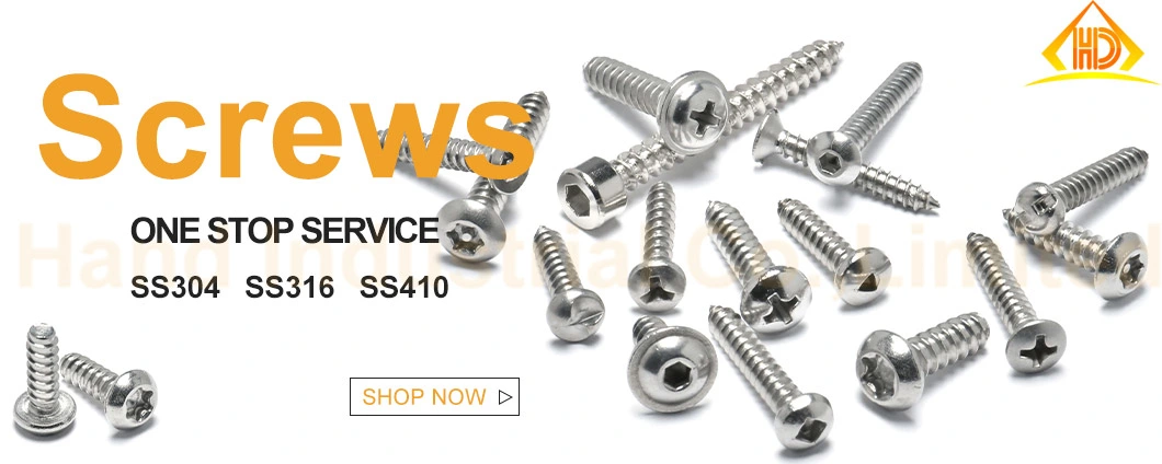 M5 8mm 10mm Phillips Pan Head Blunt Point Stainless Steel Self Tapping Screws for Plastic