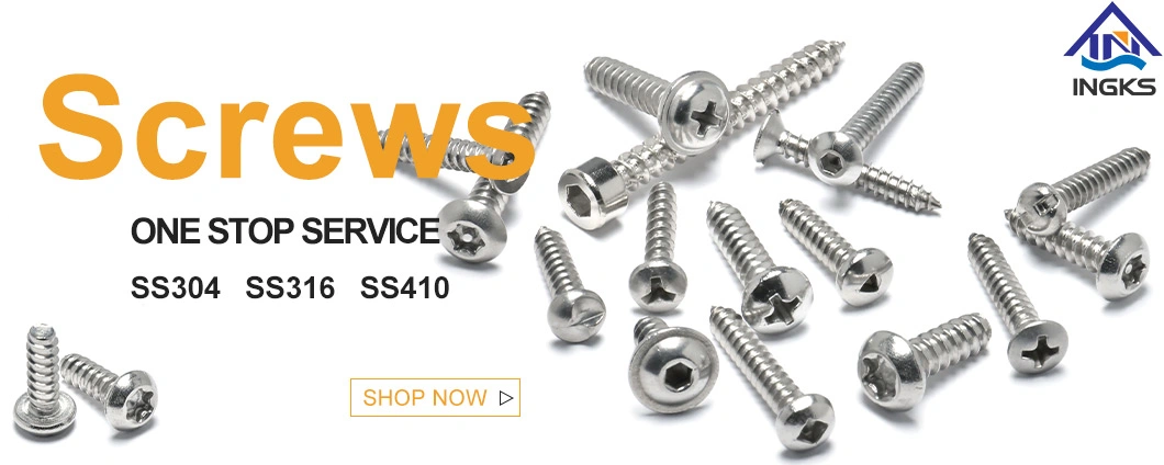 Stainless Steel DIN7976 Hexagon Indented Hex Head Self Tapping Screws