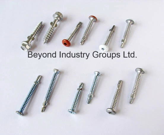 Self-Drilling Screws, Self-Tapping Screws, Special Screws, Machine Screw Support OEM