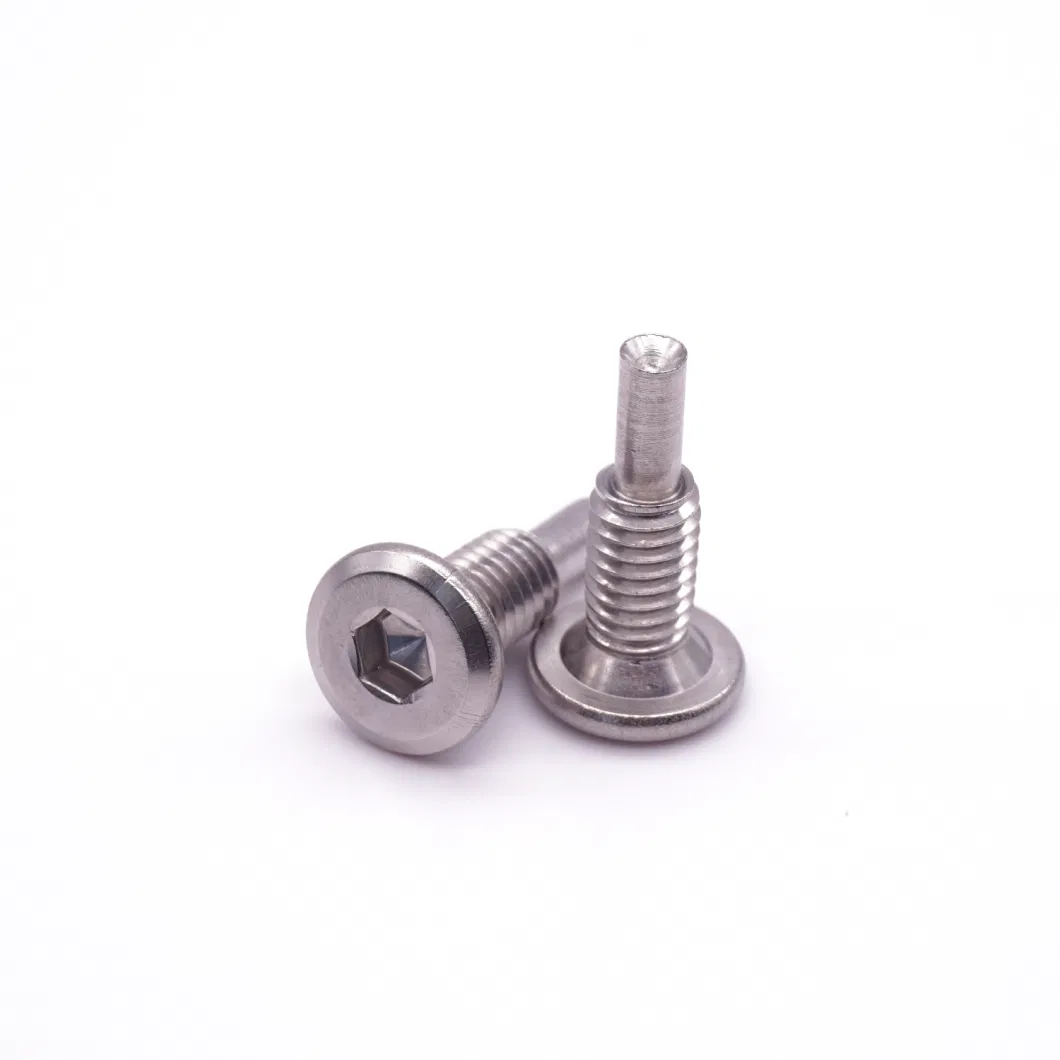 Customize Stud Bolt for Stainless Steel Hex Head Screw Bolt