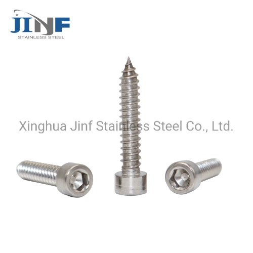 Stainless Steel 202 304 316 DIN7981 DIN7982 Self Tapping Screw