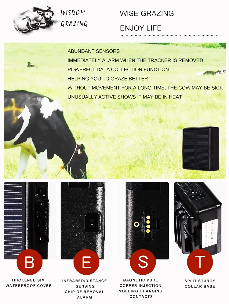 Cow Horse Camel Animal Tracking 4G Solar Powered GPS Tracker