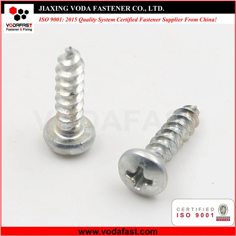 Vodafast Hex Head Self Tapping Screw White Painted