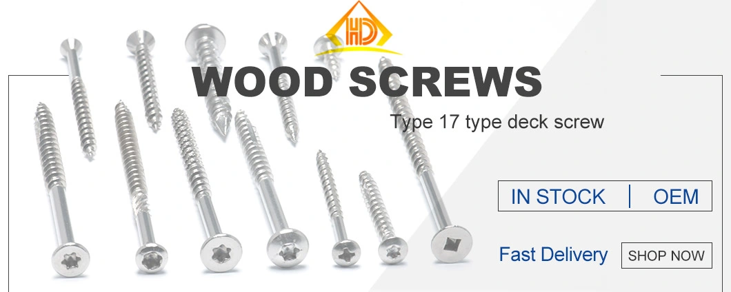 Professional Manufacturer 18-8 Steel A2 A4 Pan Torx Head Long Self Tapping Wood Screw