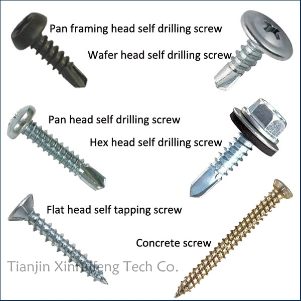 Customized OEM Stainless Steel Cross Recessed Pan Head Machine Self-Tapping Pointed Tail Long Screw