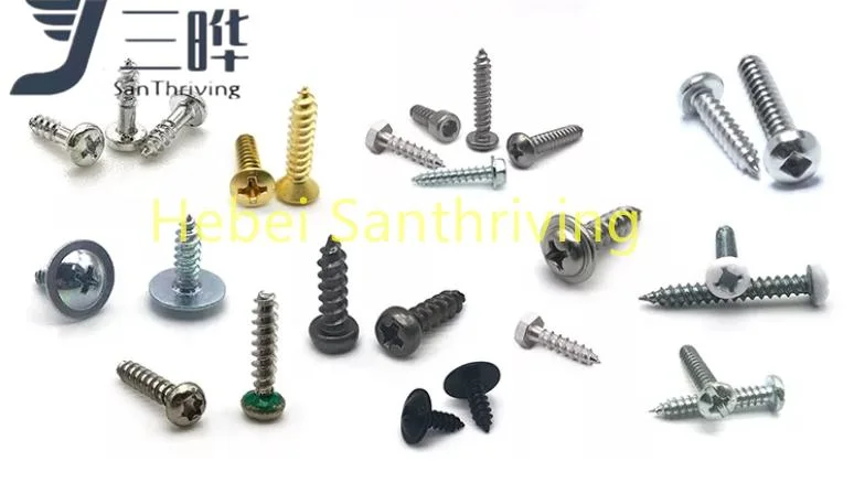 White Zinc Plated Self Drilling Screw High Quality Selt Tapping Screw Fastener Manufacturer Supply Bolt and Screw