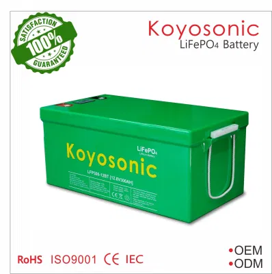 Batteria LiFePO4 12V 50ah 100ah 200ah 300ah ciclo profondo 12,8V Batteria solare agli ioni di litio da 24 V 48 V con BMS per solare/videocamera Batteria per van/RV