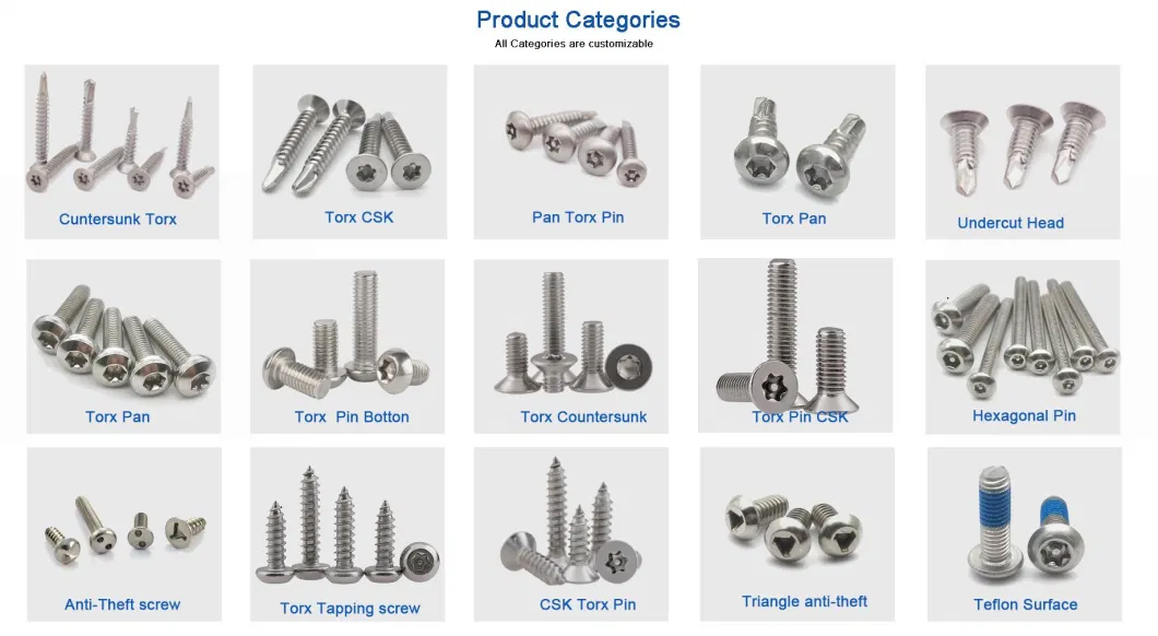 Stainless Steel Torx Head Wood Screw Self-Drilling Screw Phillips Countersunk Head Flat Head Torx Self Tapping Screws