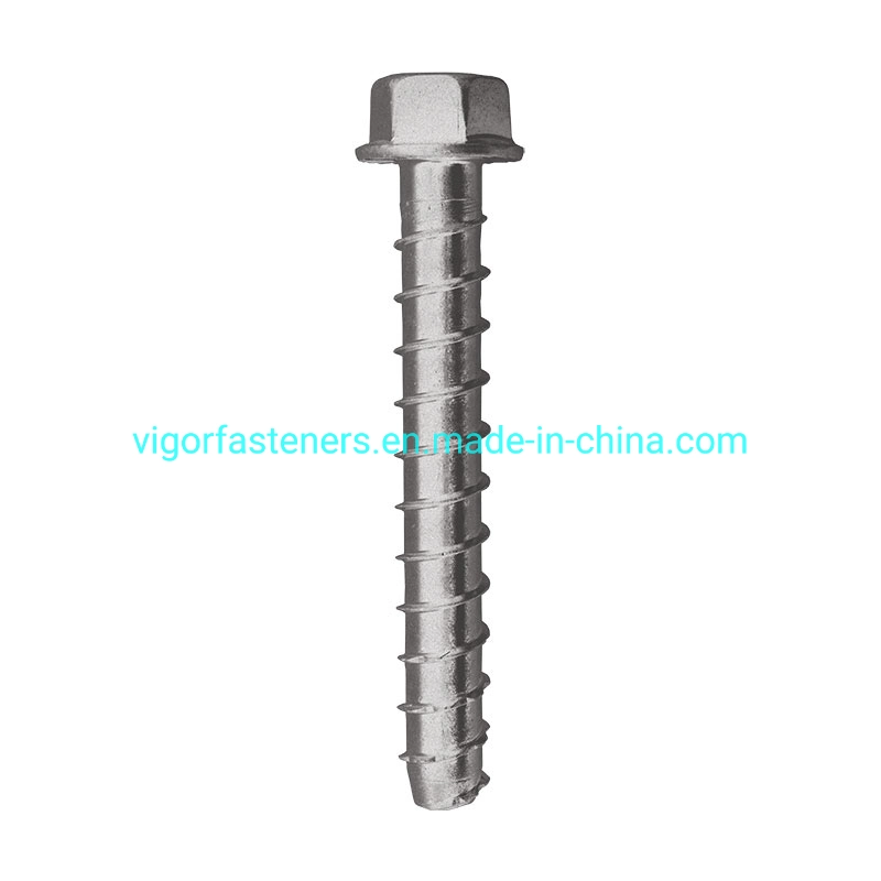 Hex Head Concrete Bolt HDG Hex Concrete Masonry Anchor Bolt Self Tapping Screw High Quality Carbon Steel Hot DIP Galvanized