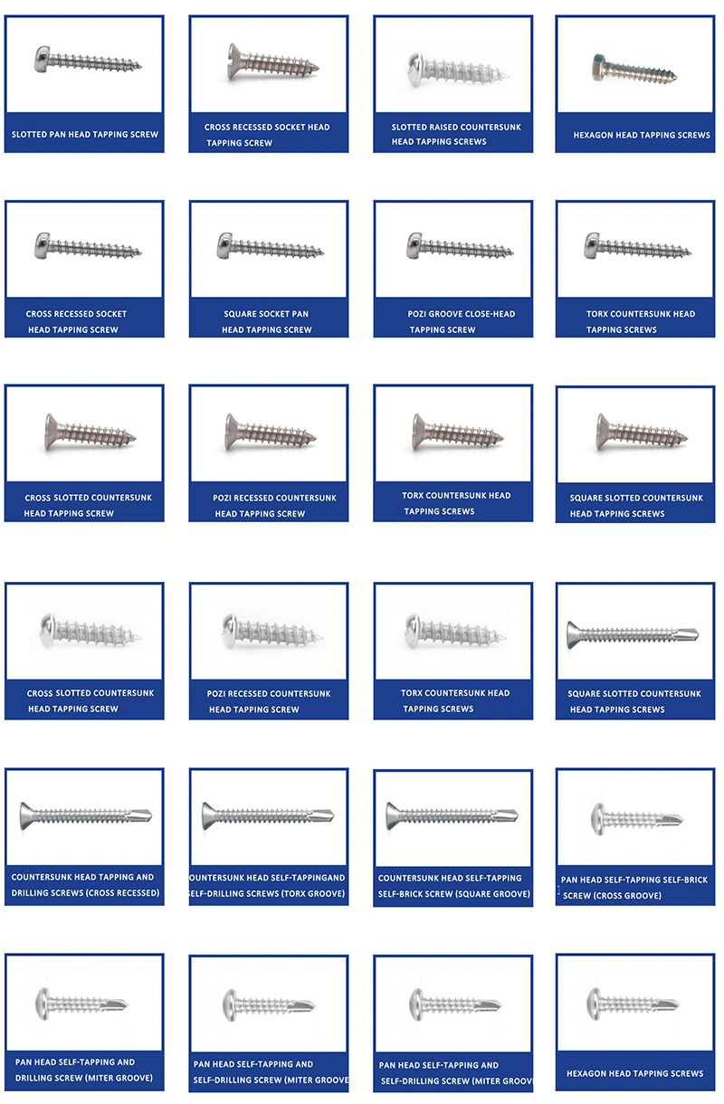 China M1.4 M2 M3 M4 M5 M6 Stainless Steel Ms Cross Head Self Tapping Screws