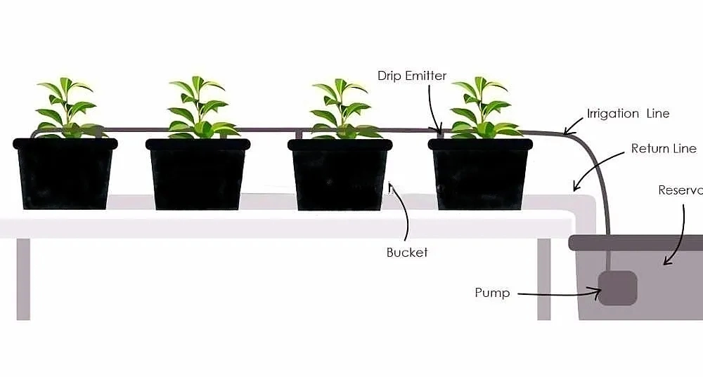 8 Buckets Recirculating Food-Grade Plant Pots Dutch Bucket for Hydroponic