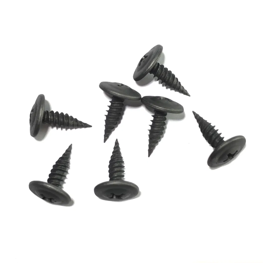 Black Wafer Head with Phillips Groove Self Tapping Screws China