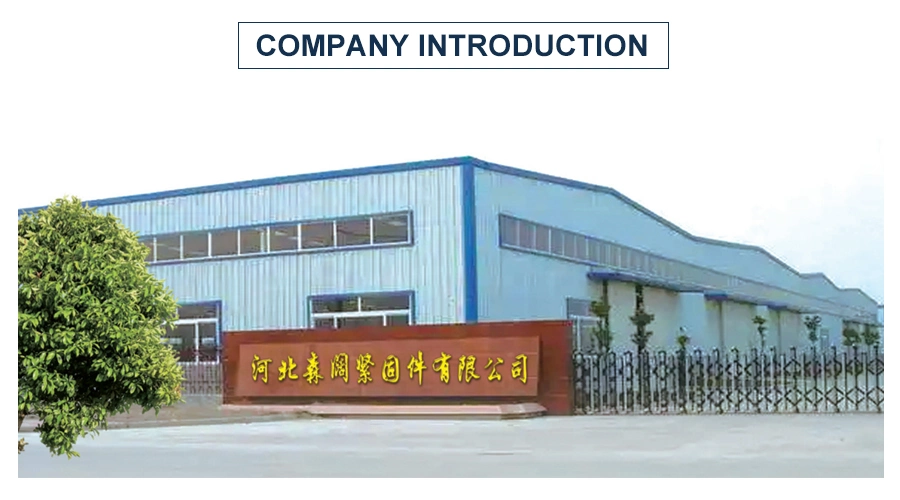 China Factory OEM/ODM Fastener Hardware Black Drywall Screws/Machine Screw/Wood Screw/Self Tapping Screws/Self Drilling Screws