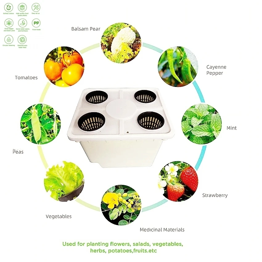 Hydroponics Dutch Pot Bato Bucket Nft System Hydroponic Bucket