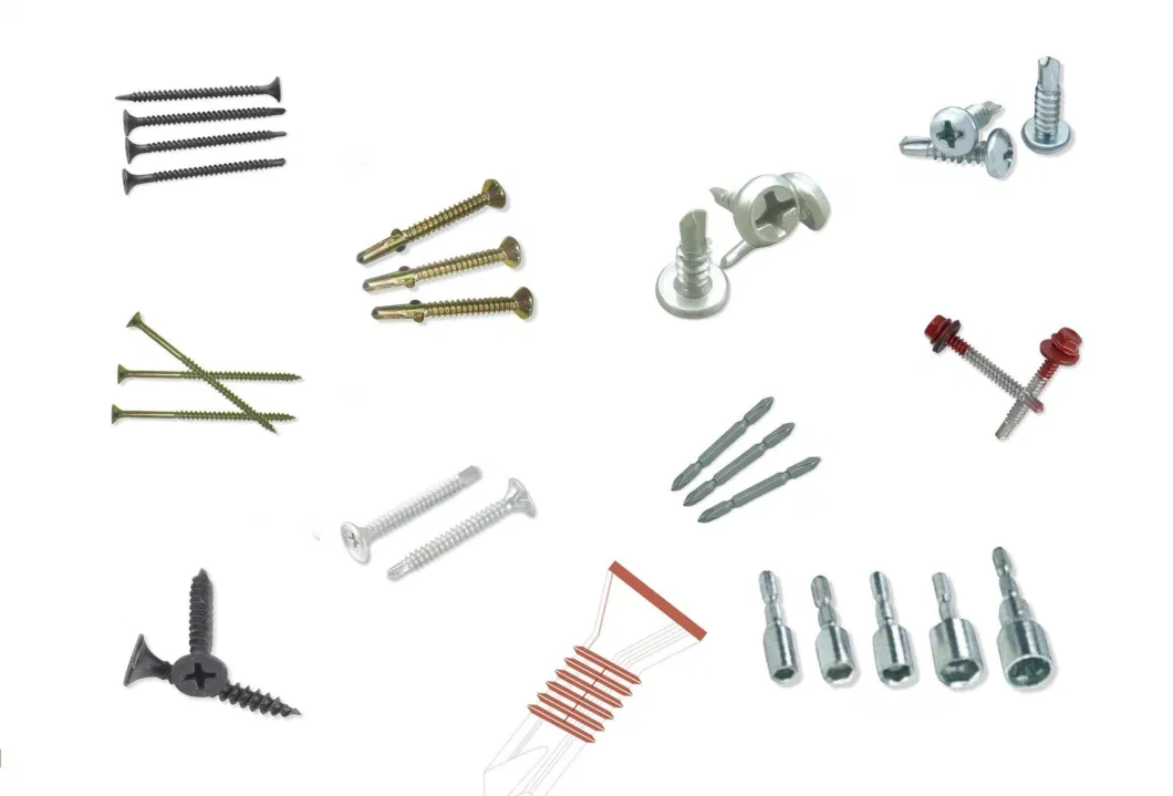 Carbon Steel/Stainless Steel Screw/Self Drilling Screw/Drywall Tapping Screw/Chipboard Screw/Wood Screw/Roofing Screw/Machine Screw/Decking Furniture Screw