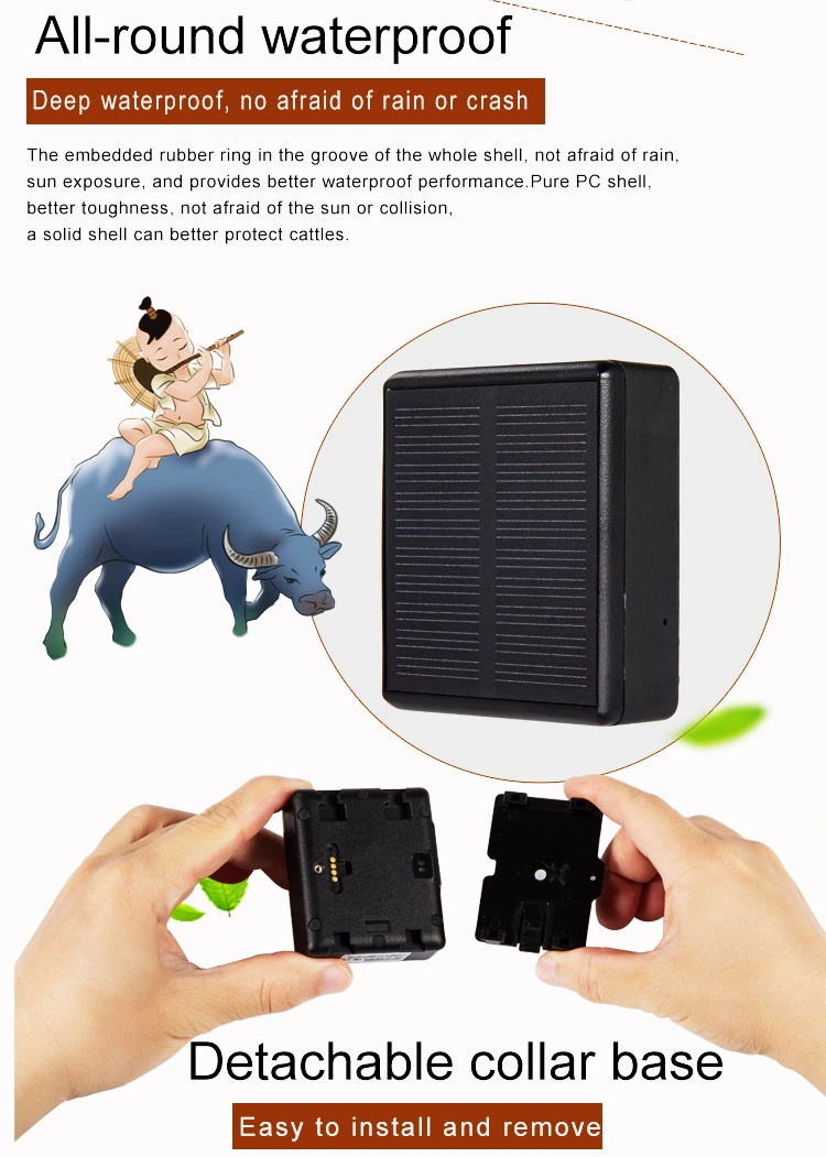 Cow Horse Camel Animal Tracking 4G Solar Powered GPS Tracker