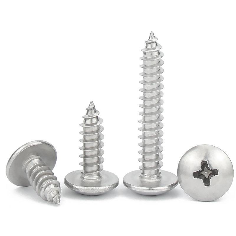 Stainless Steel 304 M1.2 M1.4 M1.7 M2 M2.3 M2.6 M3 M3.5 M4 M4.2 M5 M6 Phillips Pan Round Head Self Tapping Screws