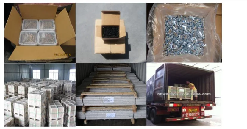 Customized Weifeng Small Box /Bulk/Bag M3.5, M3.9 M4.2 M4.8 M5.5 #6, #7, #8, #10, #12 Self-Tapping Zinc Screw