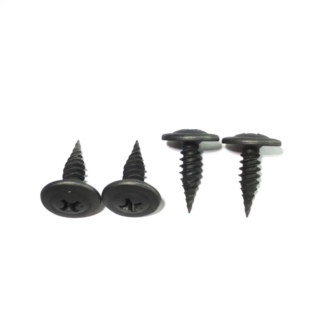 Black Wafer Head with Phillips Groove Self Tapping Screws China