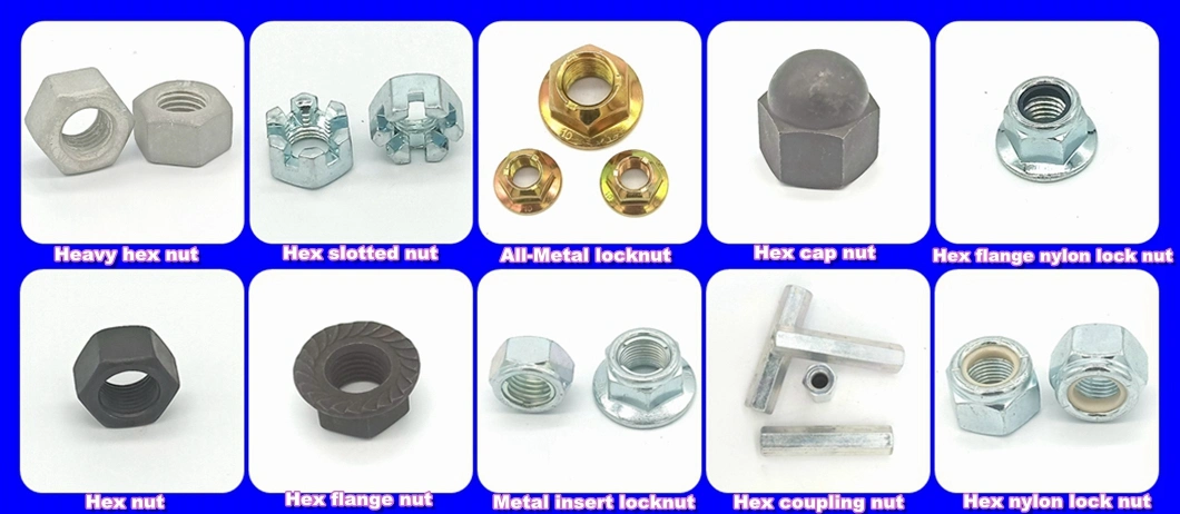 Fastener Dacromet Hex Washer Head Concrete Bolts