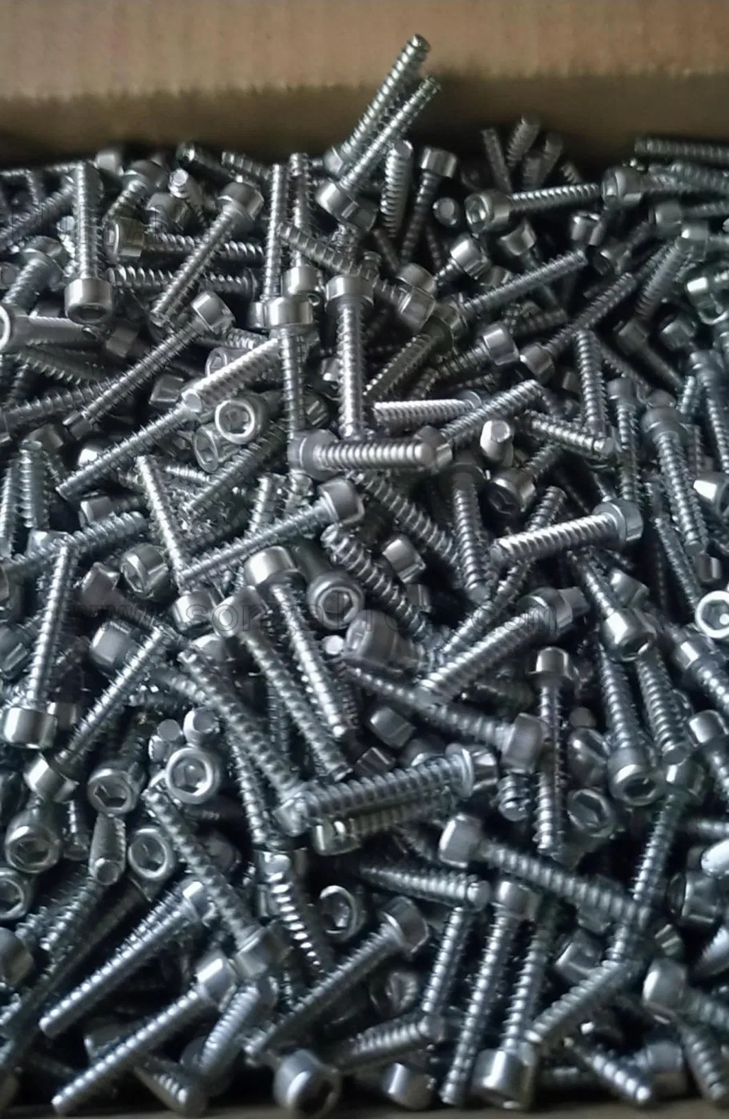 M3 Hexagon Socket Countersunk Cup Head Self Tapping Screws