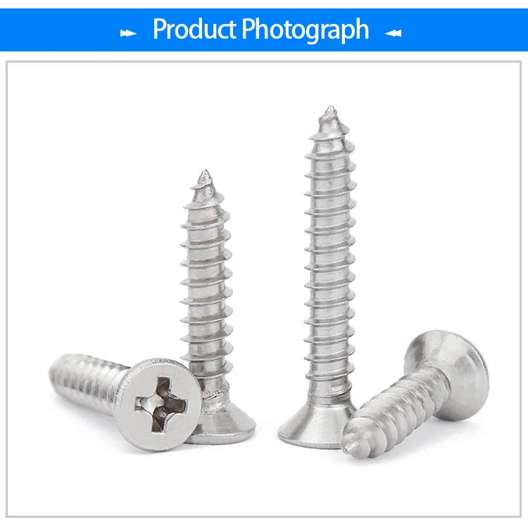 304/316/410 Stainless Steel Countersunk Flat Csk Head Ss Self Tapping Screws Tornillos