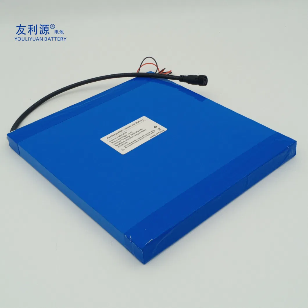 10 Years Factory 18650 Battery Cell Assemble 3s18p 11.1V 55ah Lithium Ion Battery 610.5wh Deep Cycle Li-ion Battery All-in-One Lights Power Supply 12V Battery