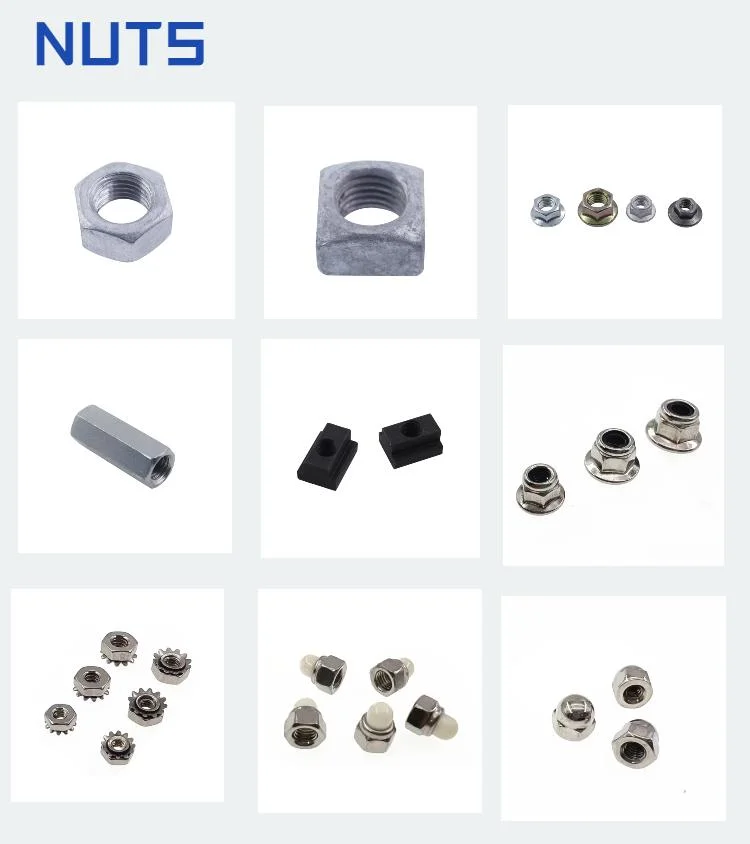 Stainless Steel Hex Bolt/Carriage Bolt/Anchor Bolt/Flange Bolt/T Bolt/Square Head Bolt/Hex Socket Cap Screw/Square Bolt/Wing Bolt/Eye Bolt/Knurled Bolt/U Bolt