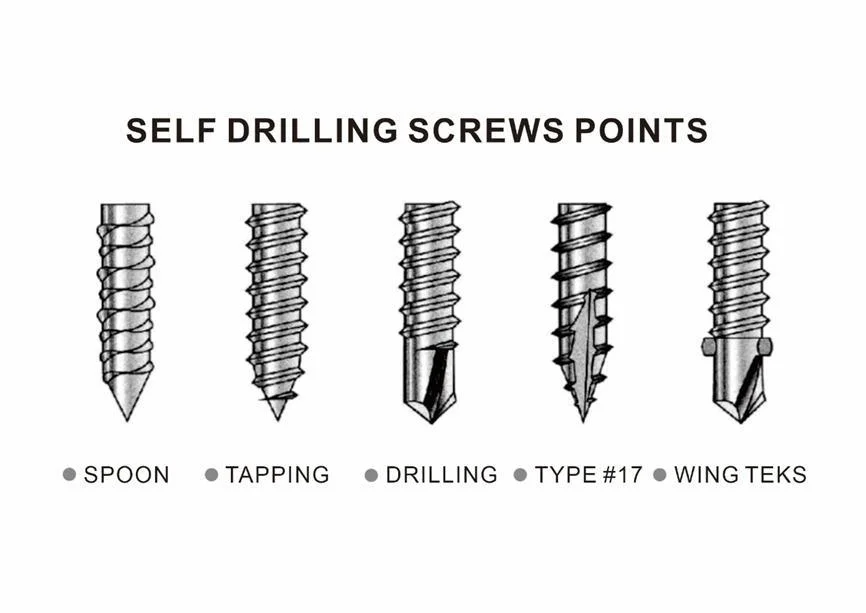 Stainless Steel Pan Head Self-Tapping Screws Concrete Screw Pan Head Cross Screw