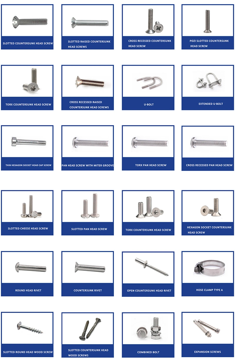 China M1.4 M2 M3 M4 M5 M6 Stainless Steel Ms Cross Head Self Tapping Screws