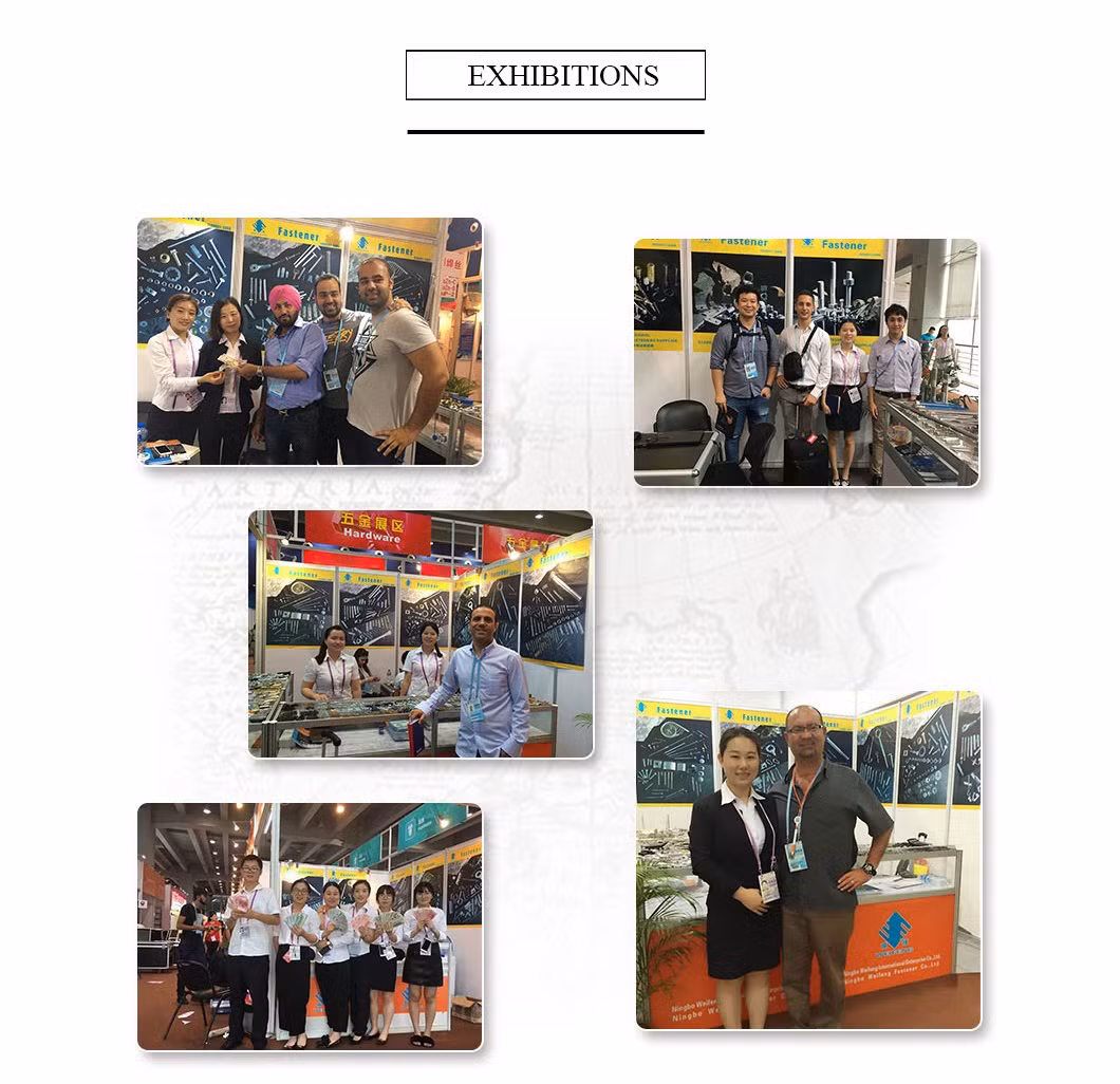 DIN 7981 Zinc Plated Galvanized Phillips Drive Cross Recessed Type Ab Thread Carbon Steel Stainless Steel 304 316 Pan Head Self Tapping Screw