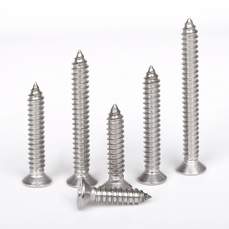 Customized SS304 Machine Screw M2 M3 M4 M5 M6 Stainless Steel Countersunk Self Tapping Screw