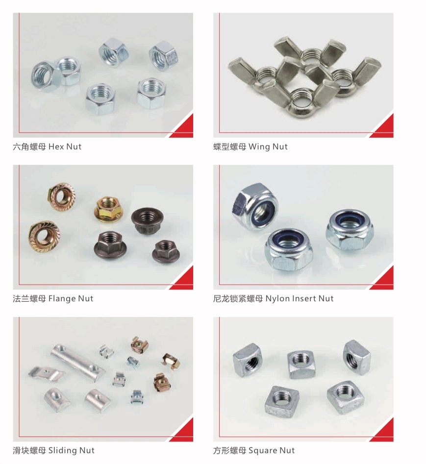 Bluescustomized Flat Head Concrete Self-Tapping Screws