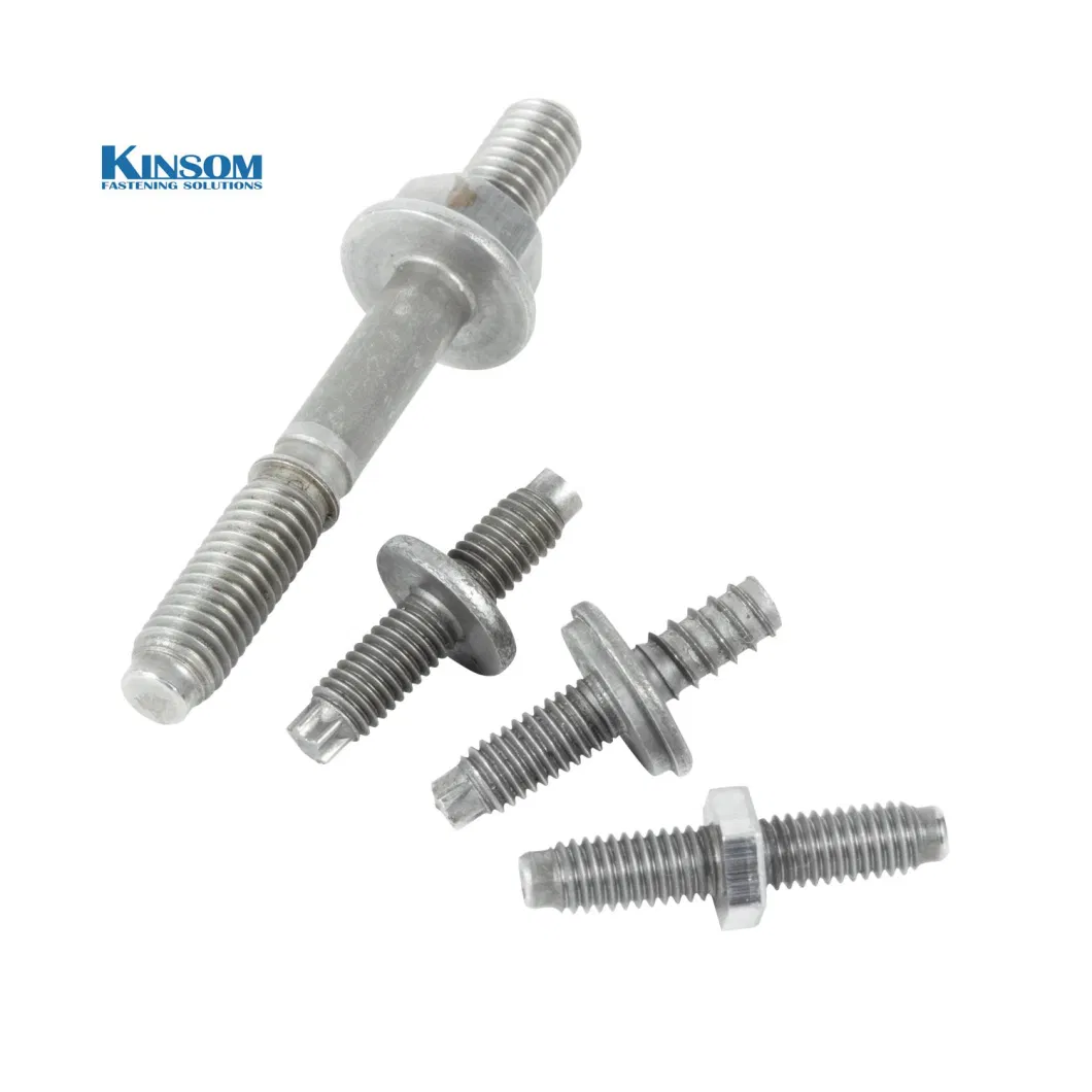 Steel Black Screw/Self Tapping Screw/Drilling Screw/Stainless Steel Screw/Custom Fastener Wood Screw