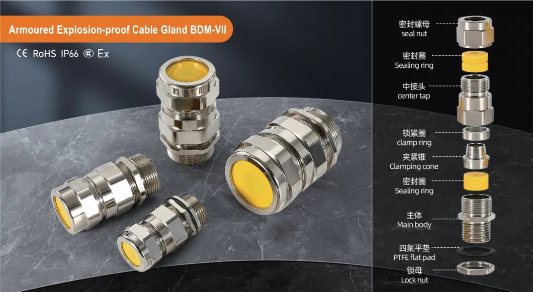 Factory Price Armoured Explosion-Proof Cable Gland EX BDM-VII Gland