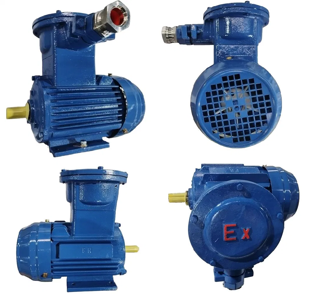 Factory Made 0.75HP/0.55kw Ex-Proof AC Ex Diibt4 Explosion-Proof 3 Phase Explosion Induction Electric Motor