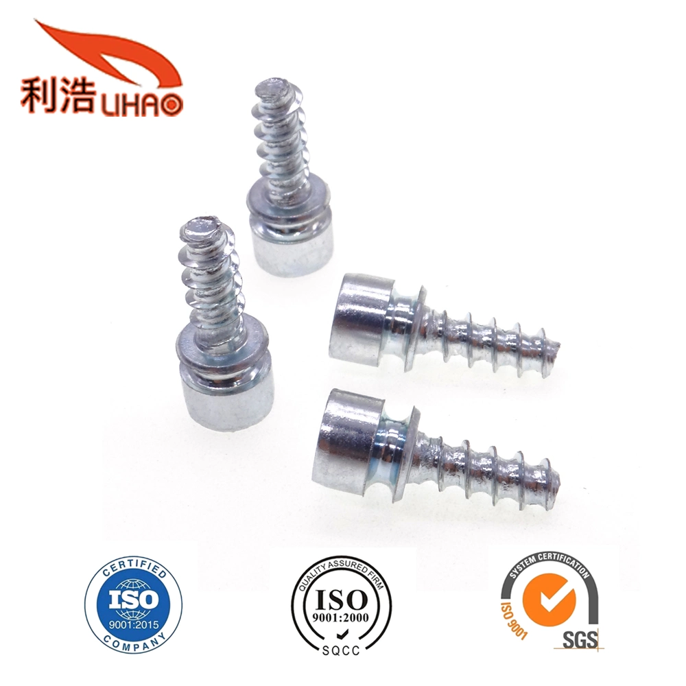 White Zinc-Plated Carbon Steel Hexagon Socket Fillister/Cup Head Self-Tapping Customizable Screw