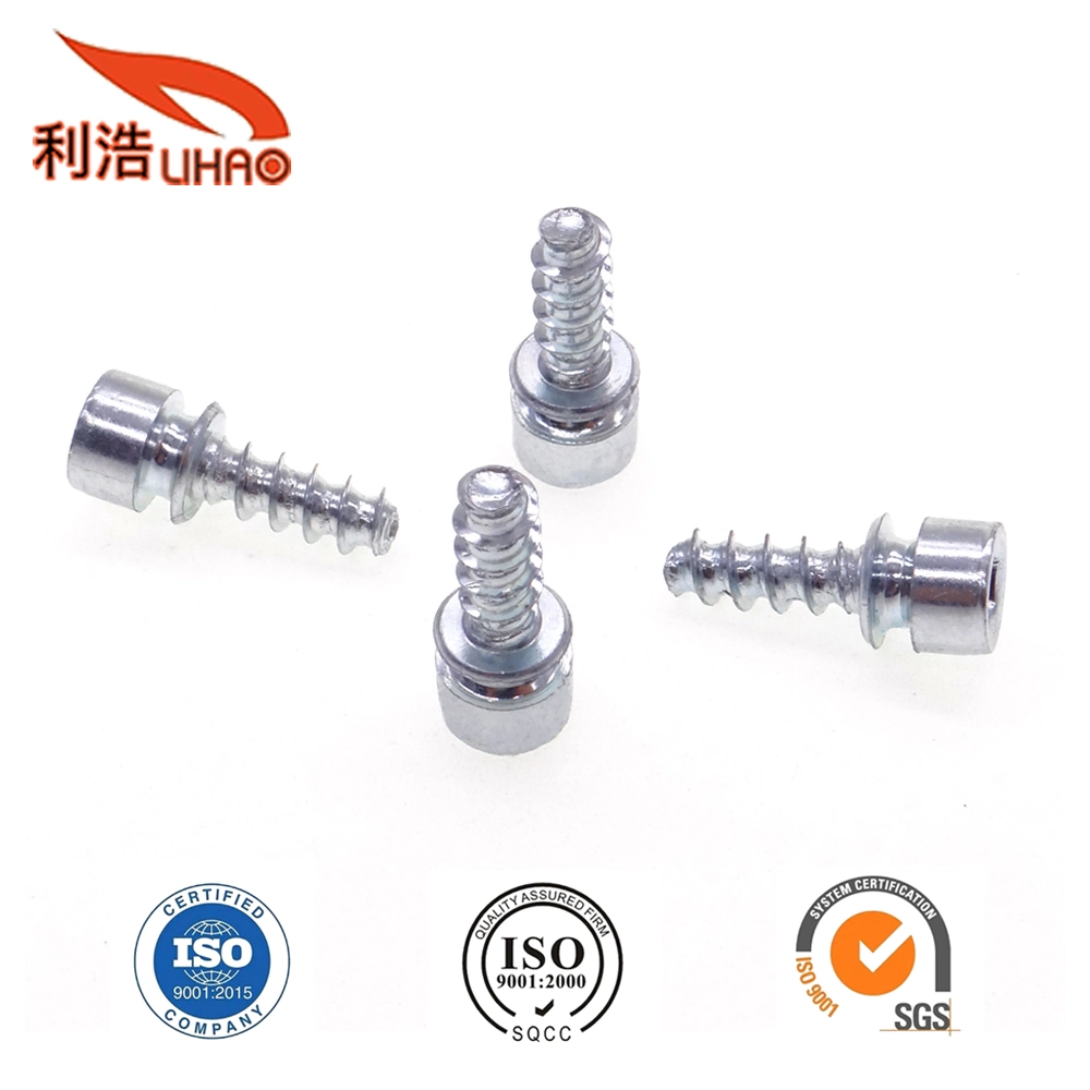 White Zinc-Plated Carbon Steel Hexagon Socket Fillister/Cup Head Self-Tapping Customizable Screw