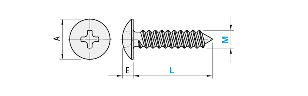 White Zinc Plated Mushroom Truss Head Phillips Drive Corase Thread Type a Self-Tapping Sheet Metal Screw