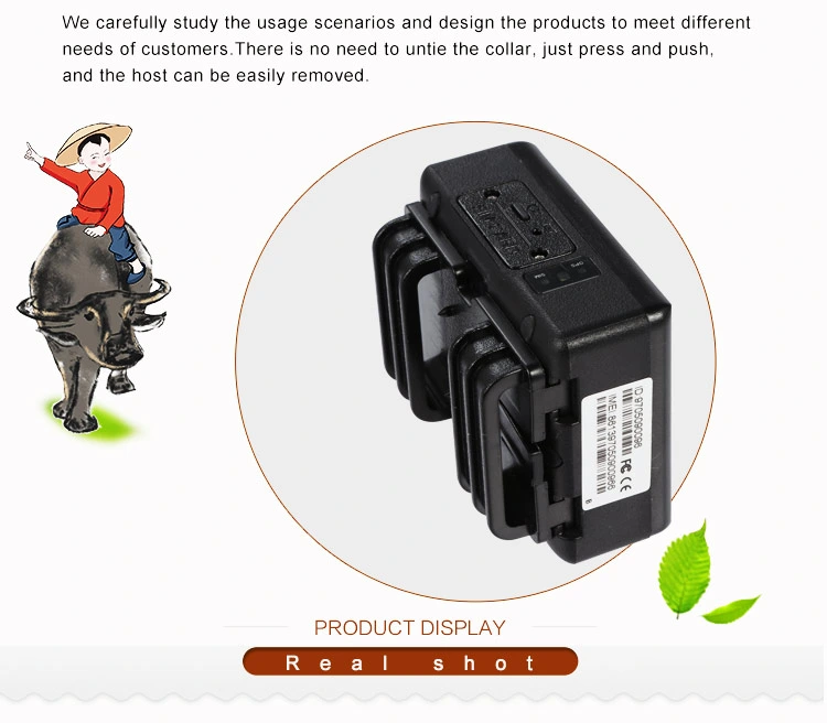 Cow Horse Camel Animal Tracking 4G Solar Powered GPS Tracker