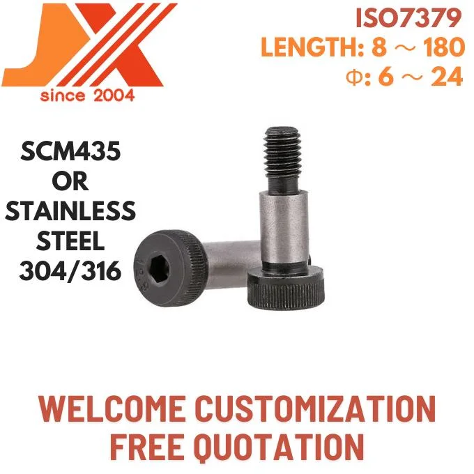 Stainless Steel Fasteners Hex Bolt/Carriage Bolt/Allen Bolt/T Hammer Bolt/Eye Bolt/U Bolt/Flange Bolt