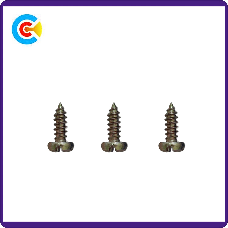 DIN/ANSI/BS/JIS Carbon-Steel/Stainless-Steel Galvanized Phillips/Slot Self-Tapping Screws for Building Railway