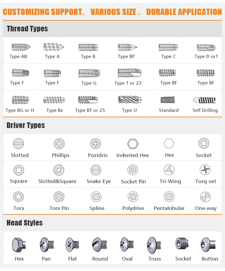 Ss304 Phillips Pan Head Metal Self Tapping Fasteners Screw