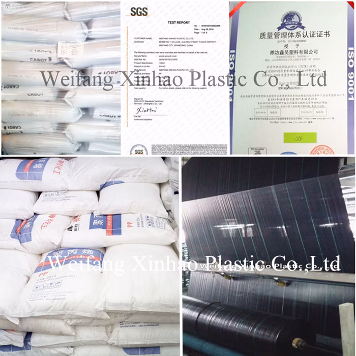 Black PP Woven Garden Product Agricultural Membrane Agriculture Ground Cover Weed Barrier