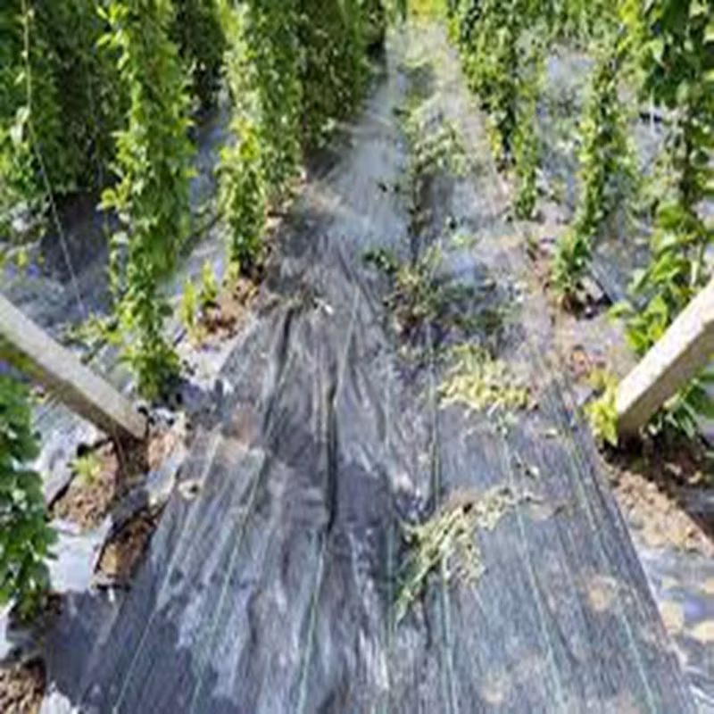 Custom Grass Proof Cloth to Prevent Grass Growth in Garden Weed Mat